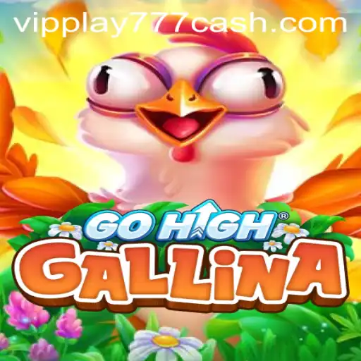 Exploring the Thrills of GoHighGallina: An Engaging New Game